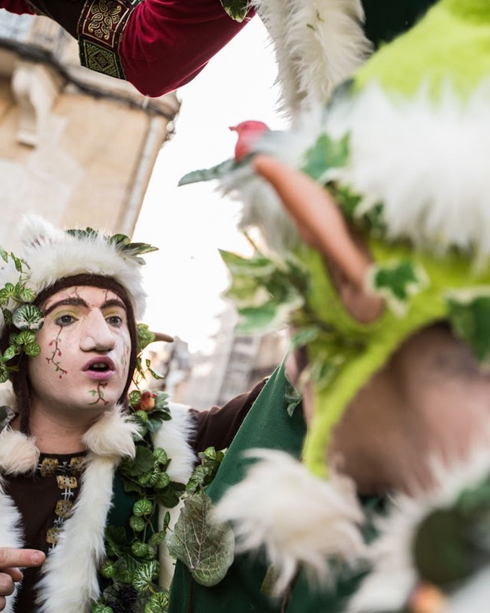 Les Lutins de la forêt