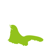 organisation d'événements au sud de la France et mariage